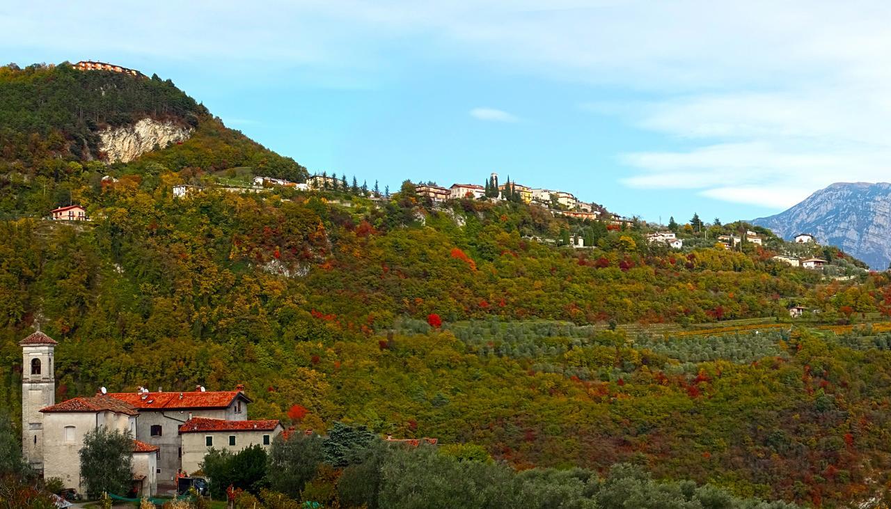 Villetta Ulivi Ca7 Sun Terrace By Gardadomusmea Tremosine المظهر الخارجي الصورة